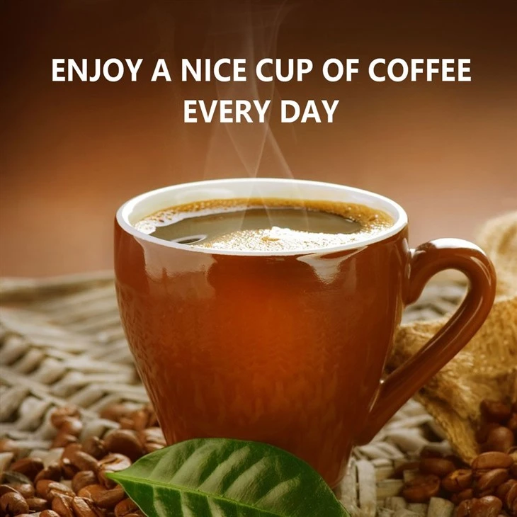 Efficient Coffee Machine Cleaner
